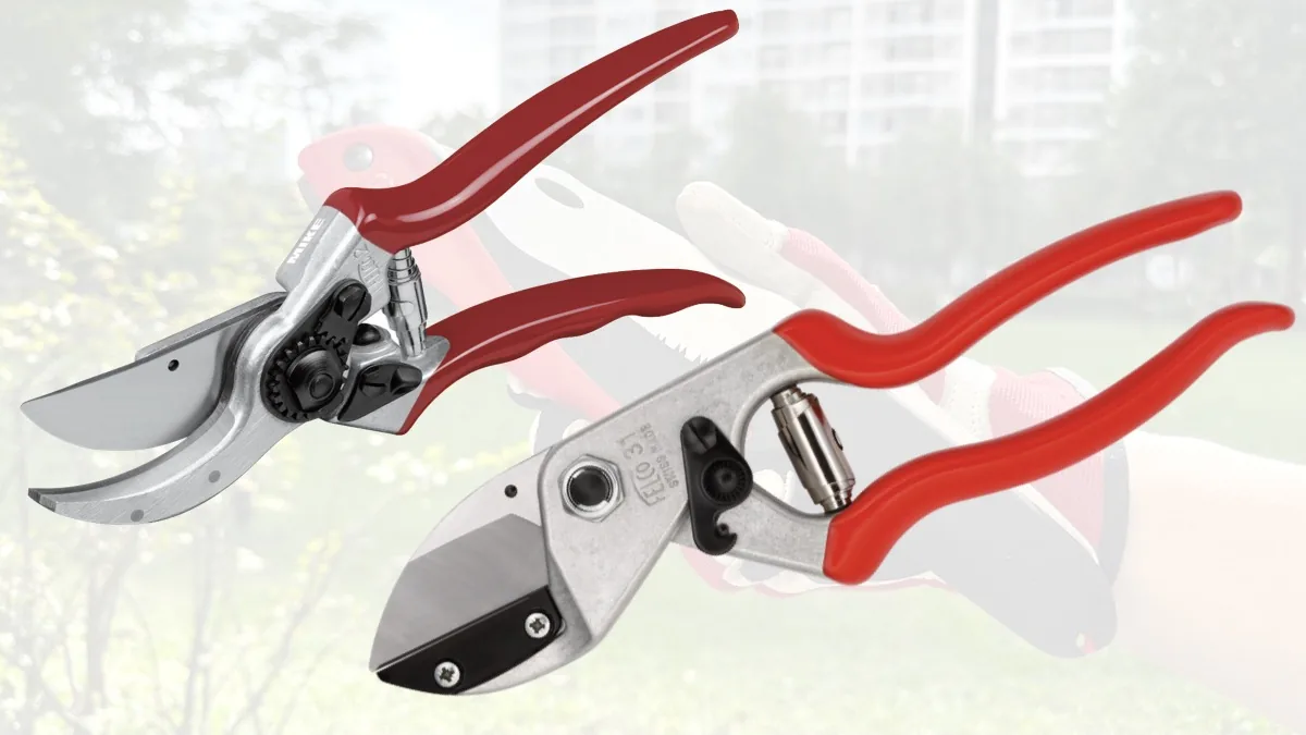 Kéo cắt cành kiểu by pass và kiểu anvil là gì? Khác nhau gì?