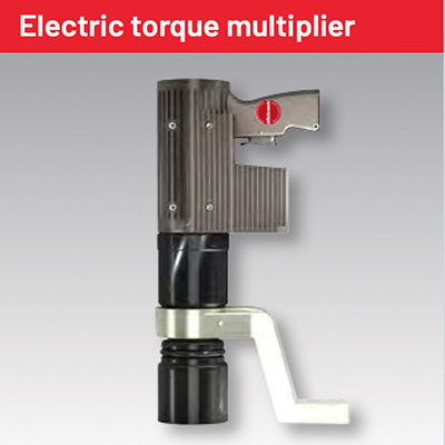 Electric torque multiplier